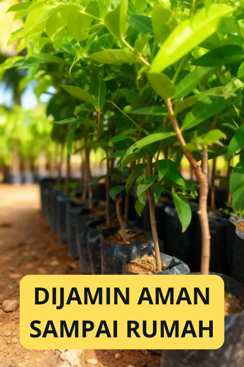 Bottle Cleaner Brush Detail