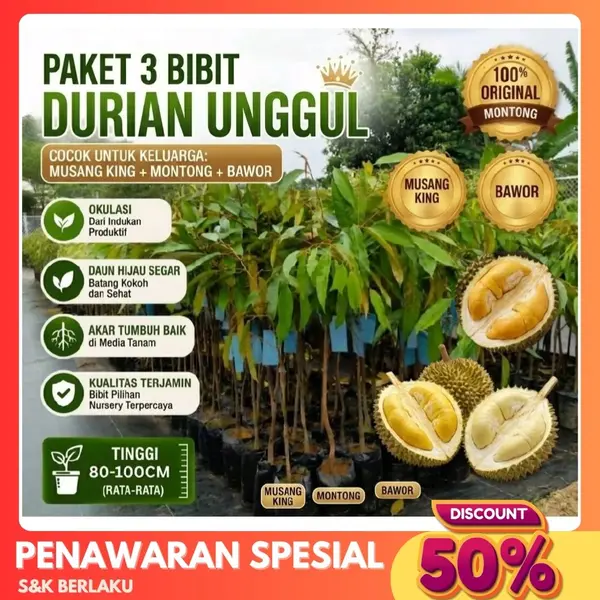 Bibit Durian 3in1