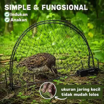 Jebakan Perangkap Burung